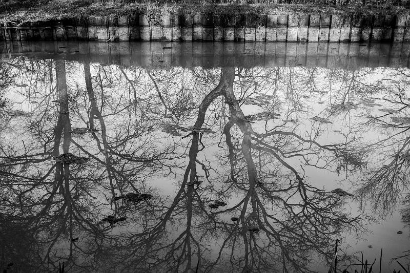 2020_02_08_canal du Nivernais (0024).jpg - Canal du Nivernais entre Panneçot et Limanton (Février 2020)